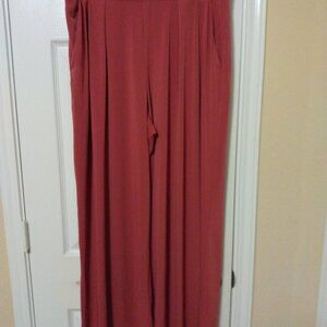 Express Wide leg Pants